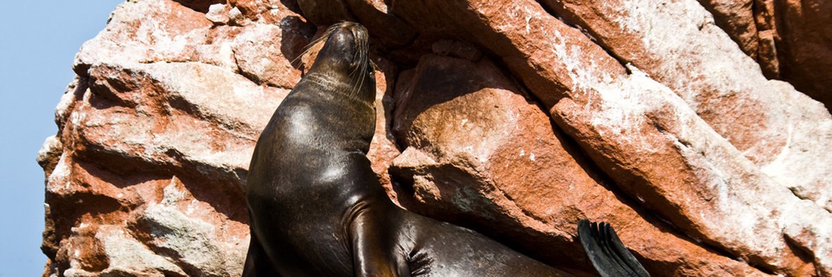 Lima + Islas Ballestas + Paracas + Líneas de Nazca desde Lima 2 días y 1 noche  en Lima